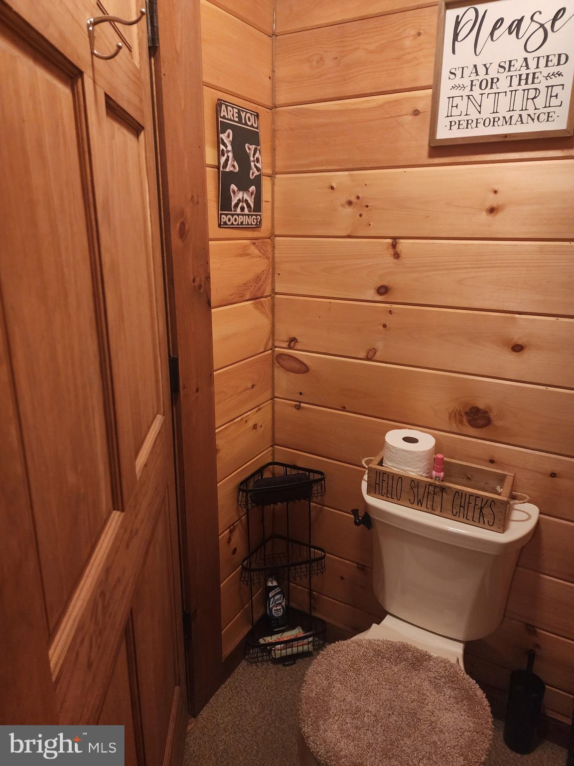 459 Springfield Estates Drive Rileyville, VA 22650 - Photo 13 of 70