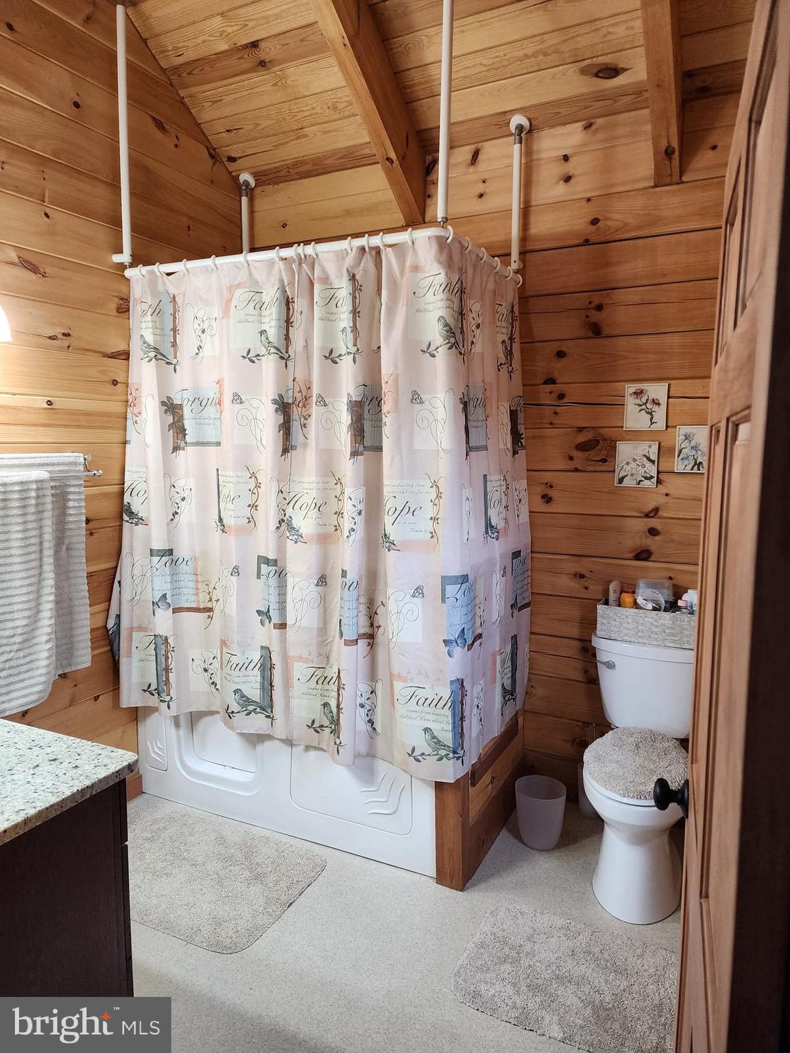 459 Springfield Estates Drive Rileyville, VA 22650 - Photo 29 of 70