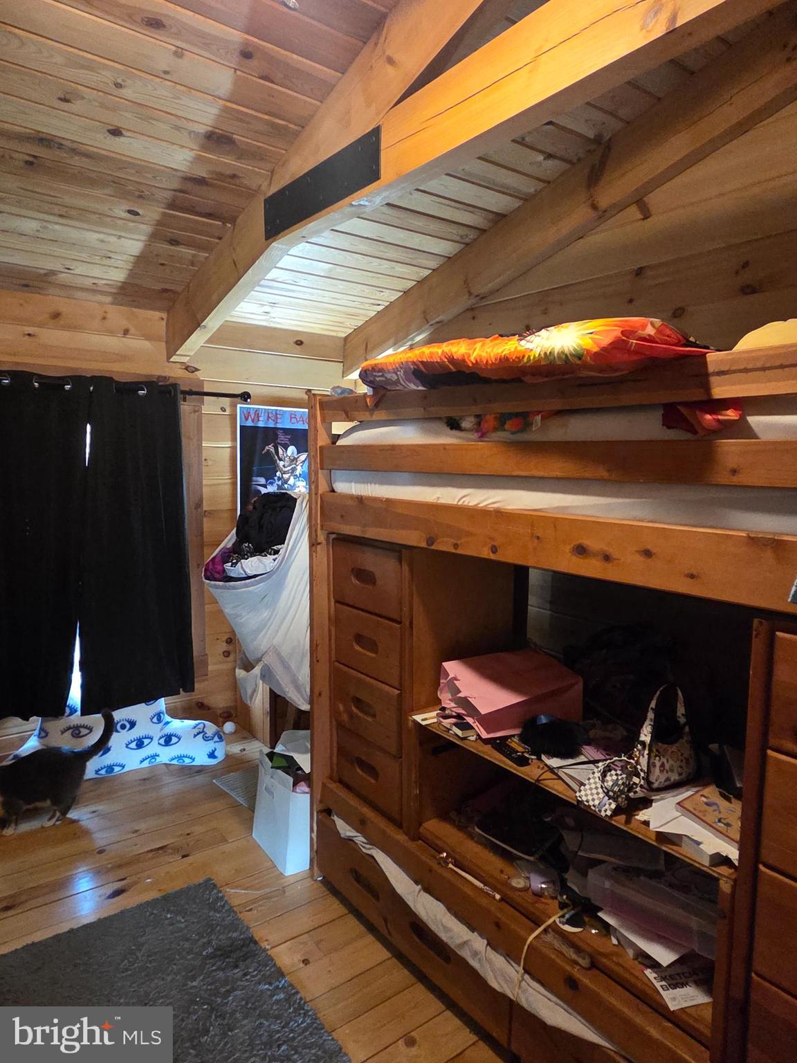 459 Springfield Estates Drive Rileyville, VA 22650 - Photo 36 of 70