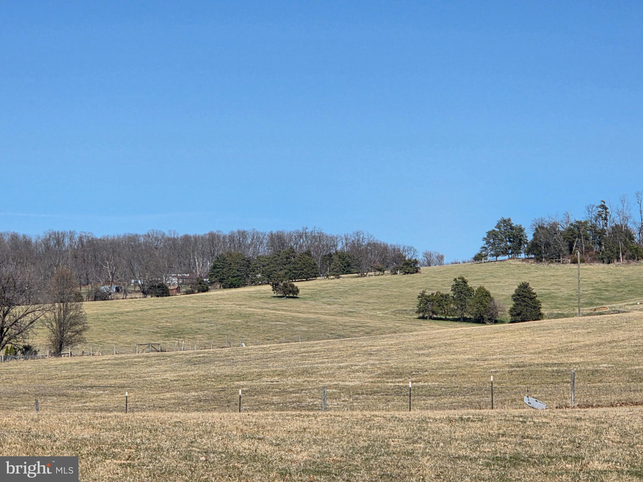 459 Springfield Estates Drive Rileyville, VA 22650 - Photo 38 of 70