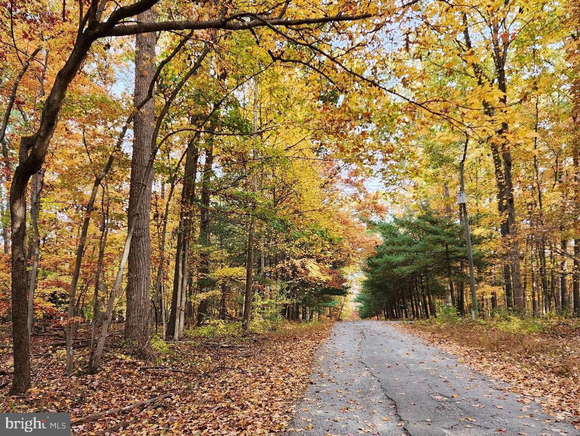 459 Springfield Estates Drive Rileyville, VA 22650 - Photo 40 of 70