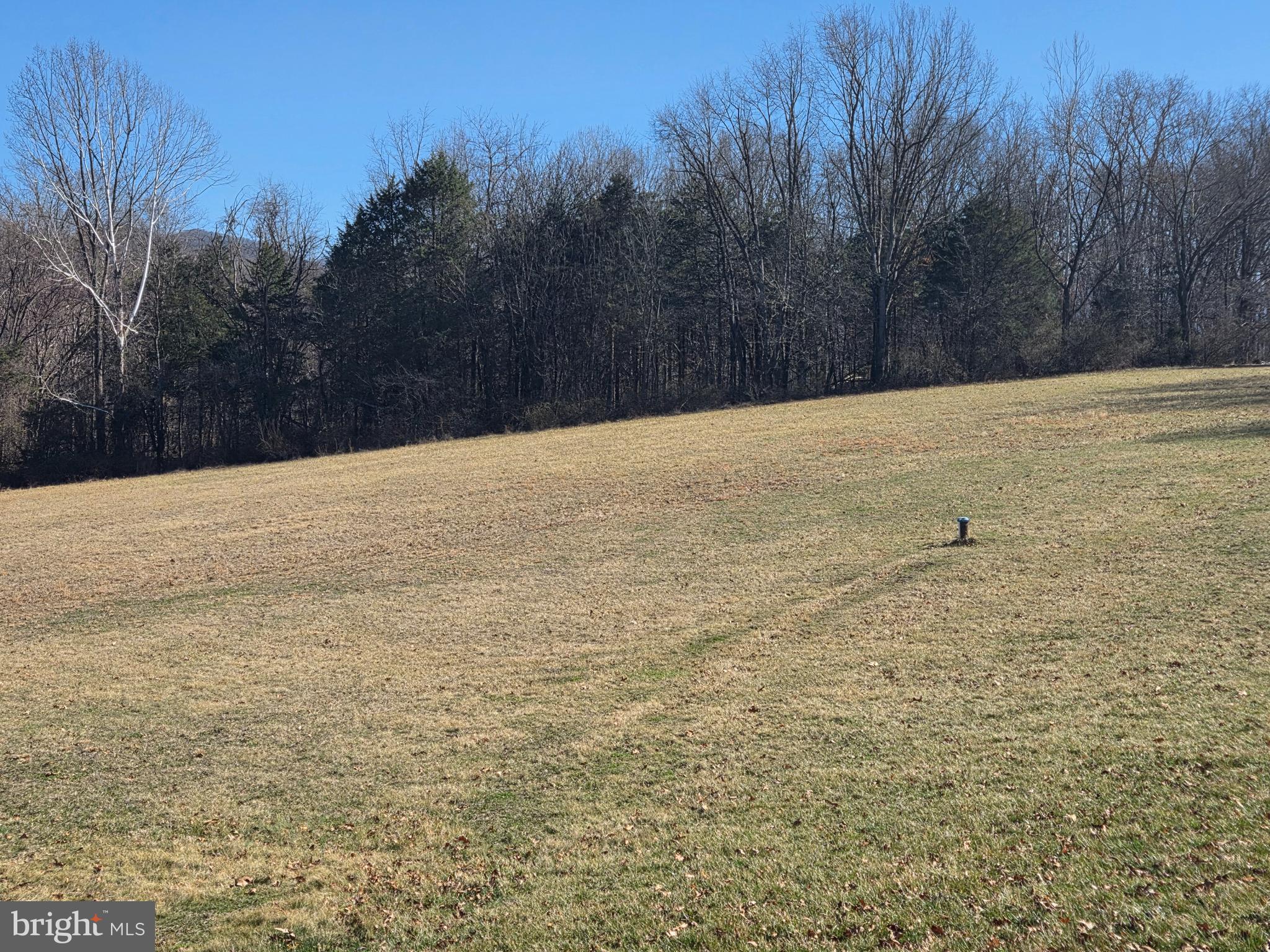 459 Springfield Estates Drive Rileyville, VA 22650 - Photo 43 of 70