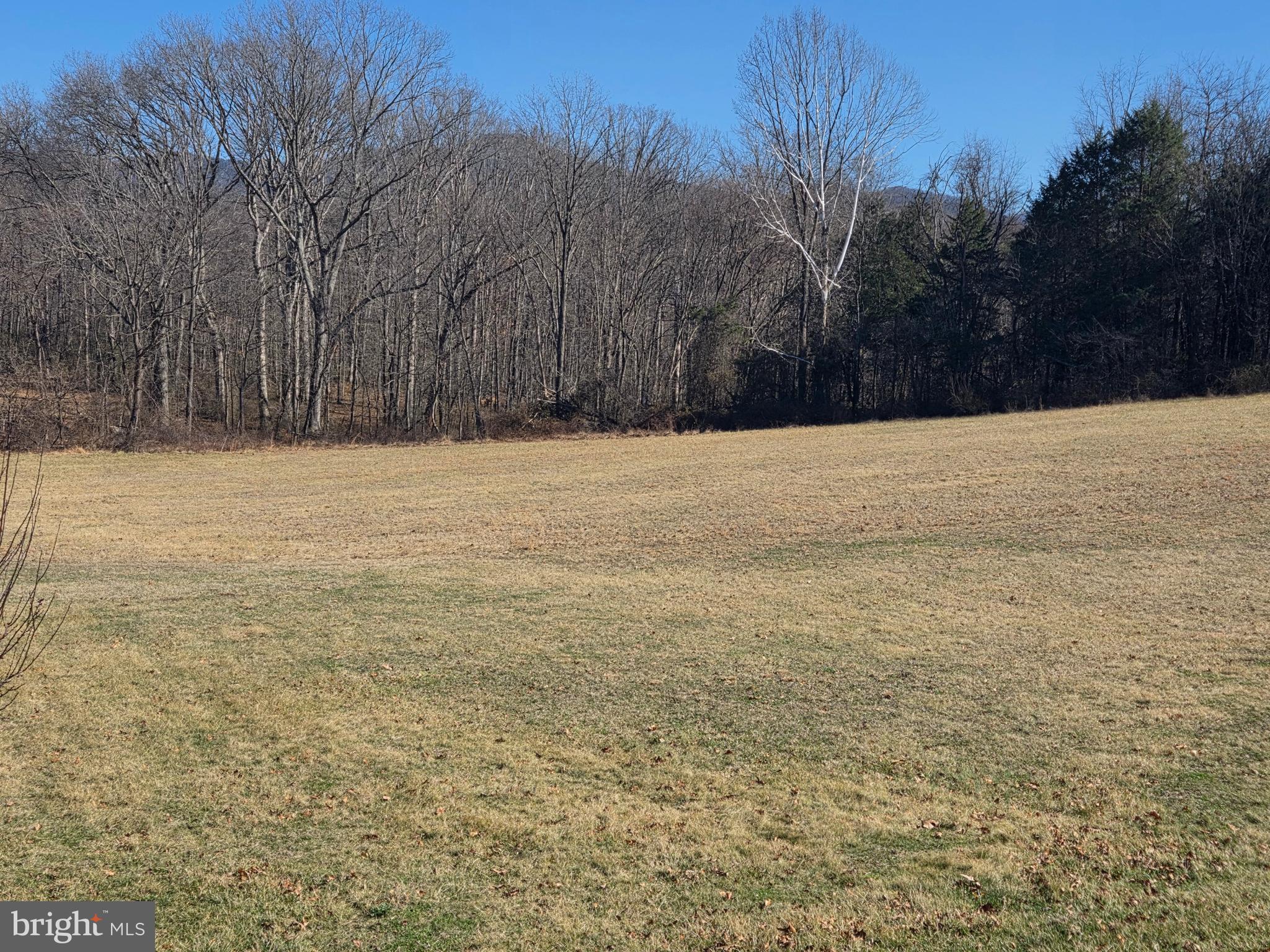 459 Springfield Estates Drive Rileyville, VA 22650 - Photo 44 of 70