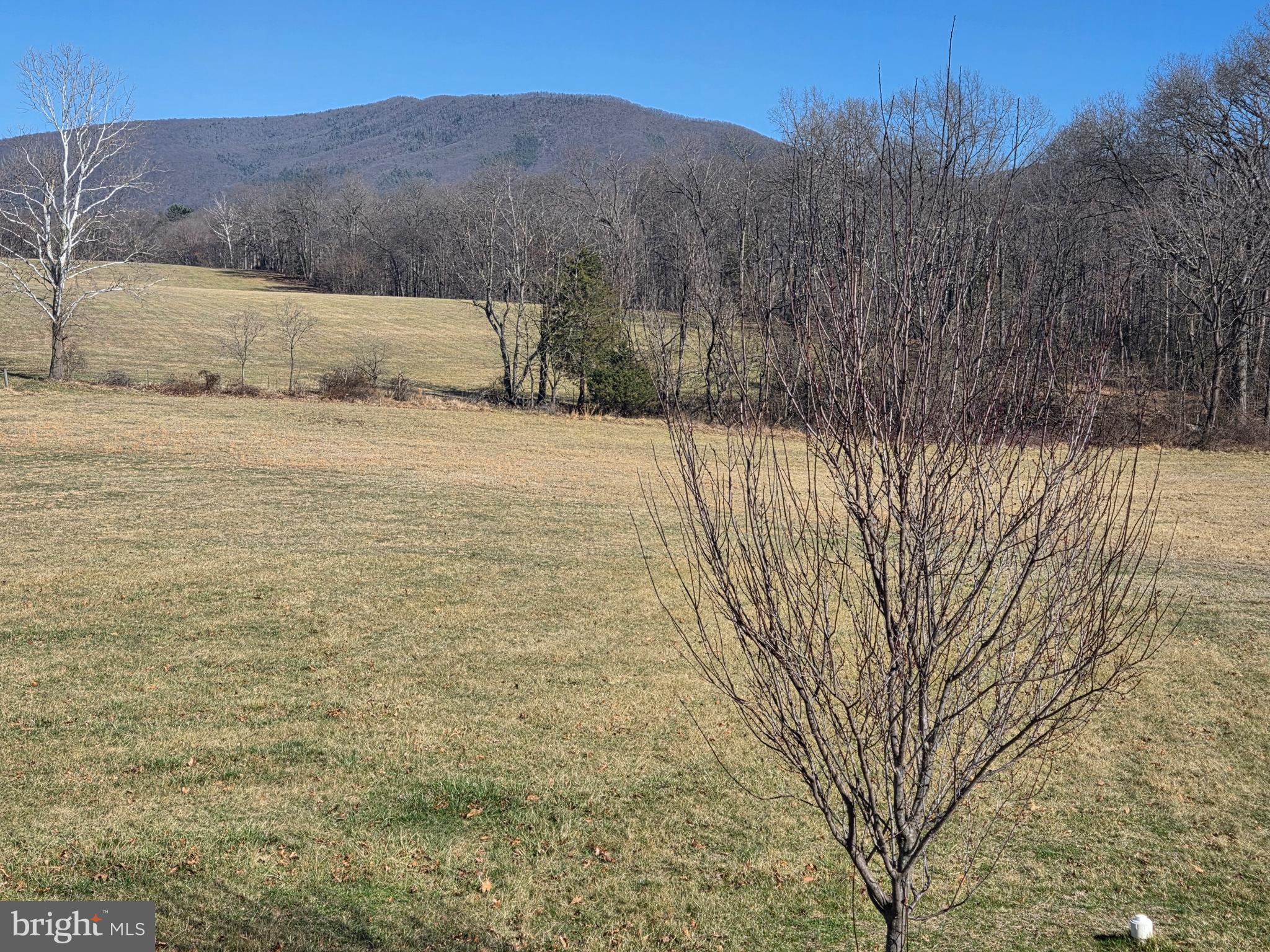 459 Springfield Estates Drive Rileyville, VA 22650 - Photo 45 of 70