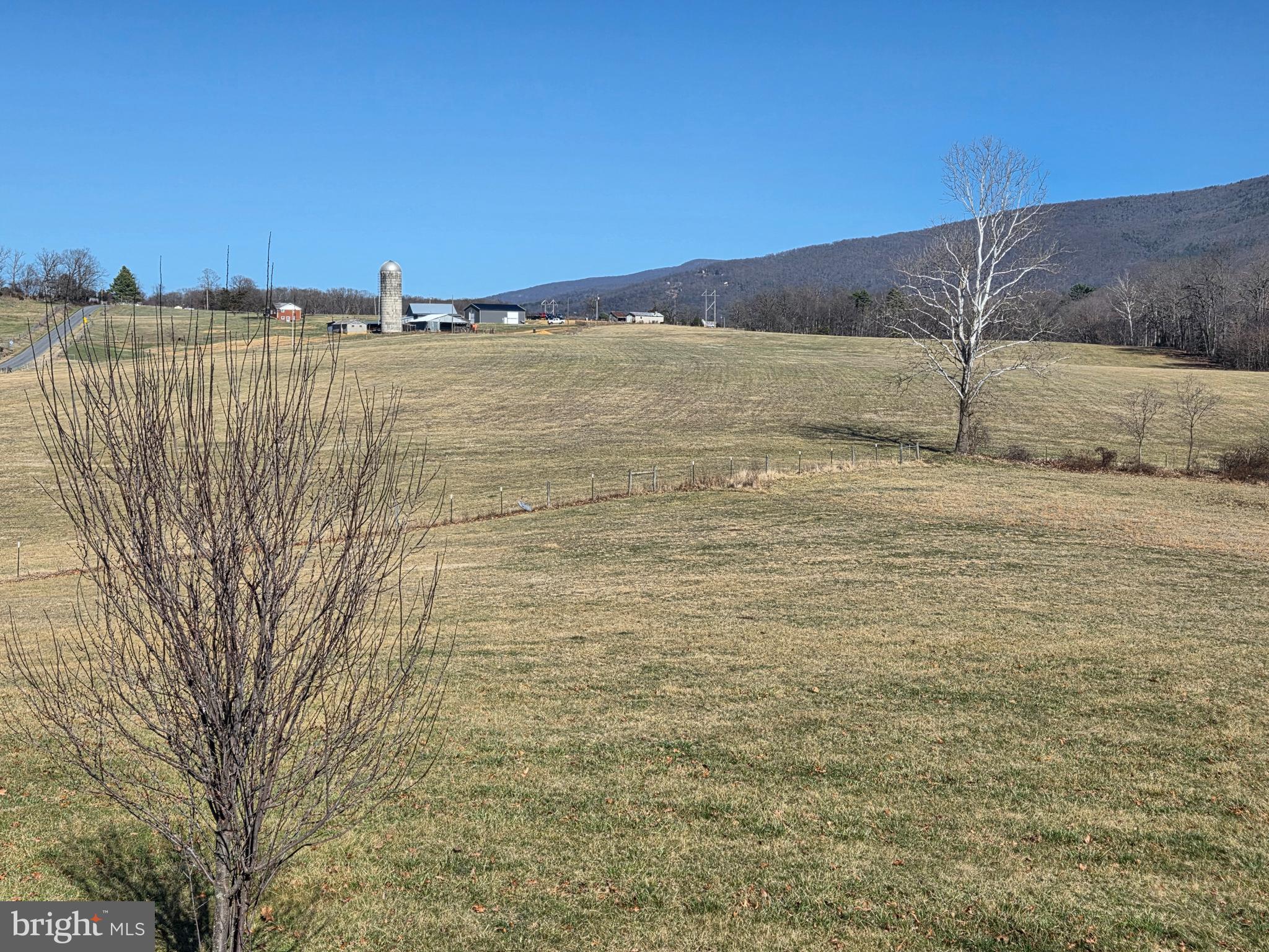 459 Springfield Estates Drive Rileyville, VA 22650 - Photo 46 of 70