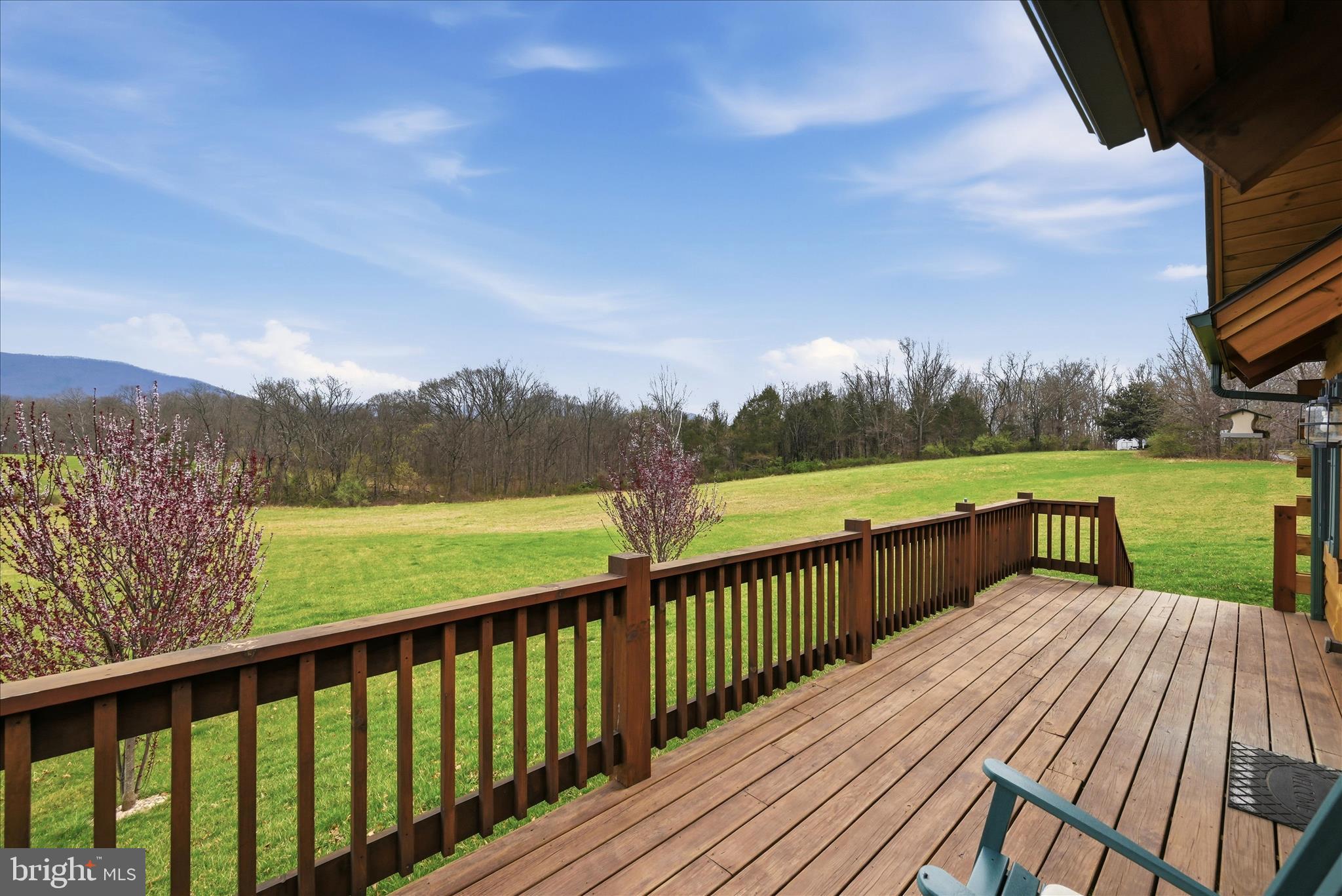 459 Springfield Estates Drive Rileyville, VA 22650 - Photo 52 of 70 Front Porch View