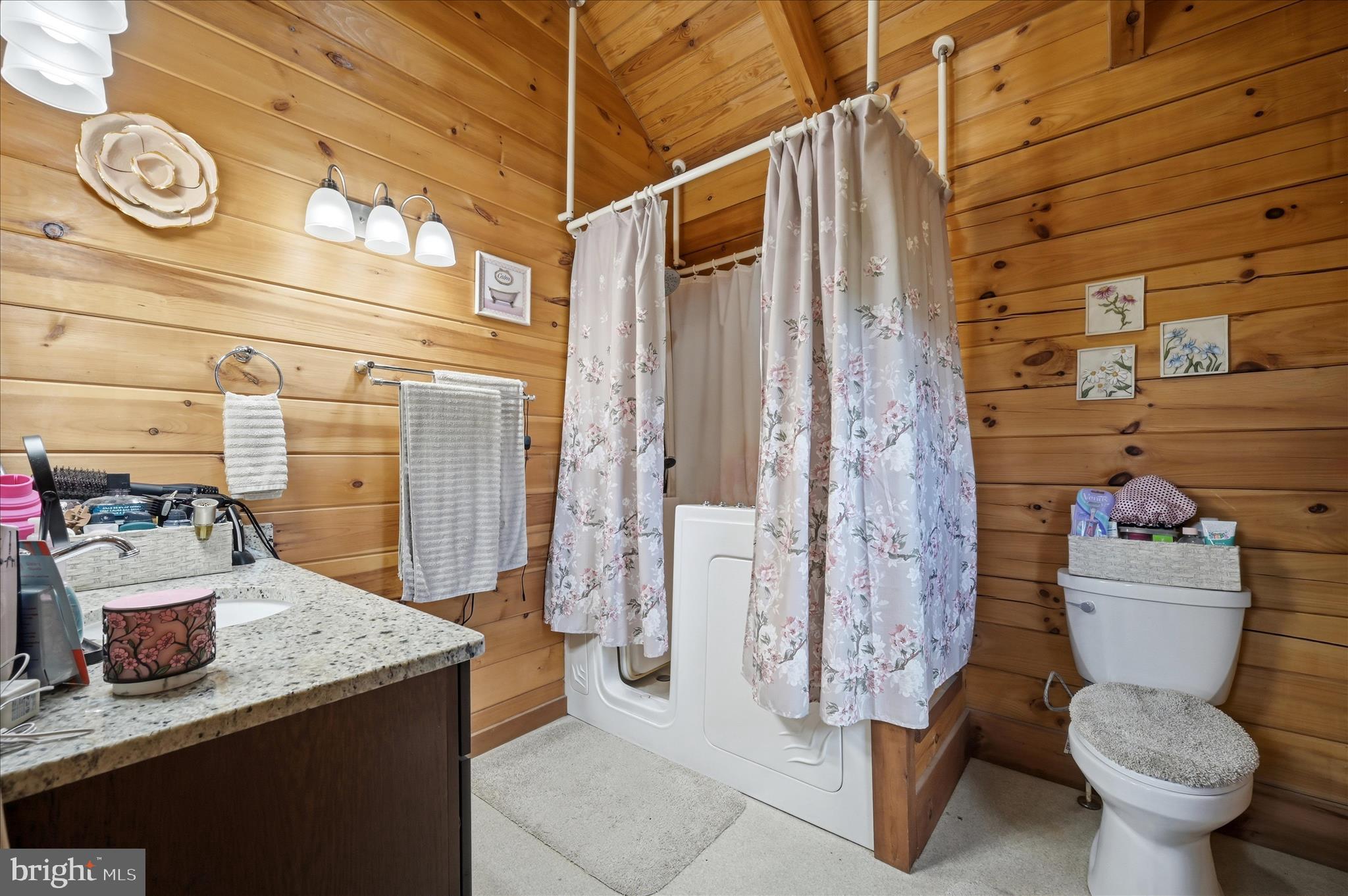459 Springfield Estates Drive Rileyville, VA 22650 - Photo 53 of 63 Primary Bathroom