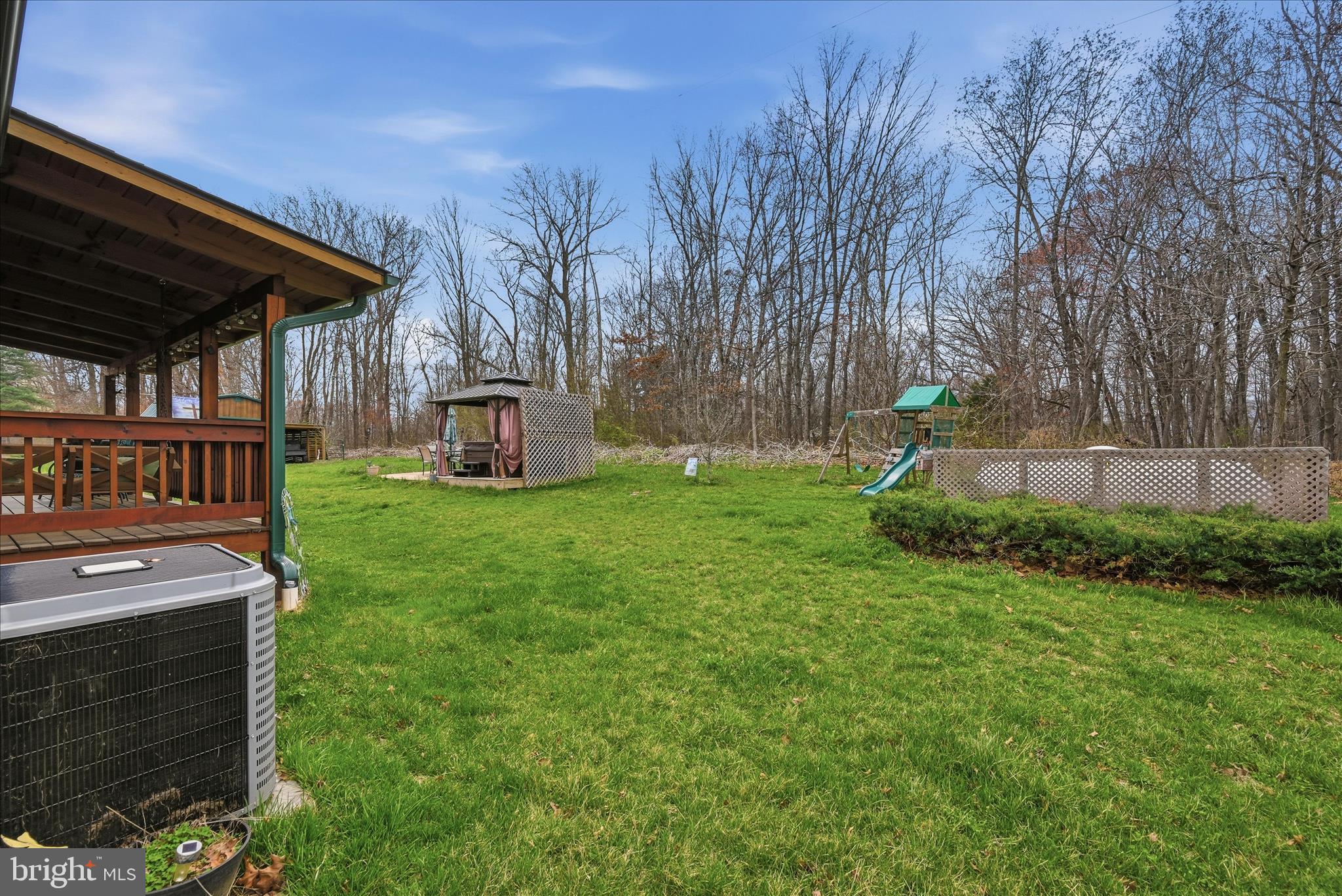 459 Springfield Estates Drive Rileyville, VA 22650 - Photo 55 of 70 Backyard