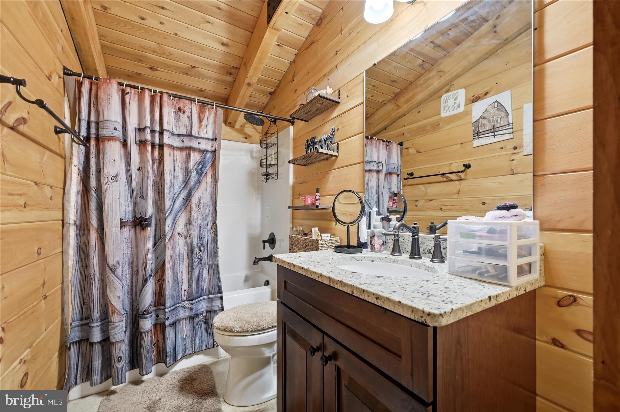 459 Springfield Estates Drive Rileyville, VA 22650 - Photo 58 of 63 Bathroom