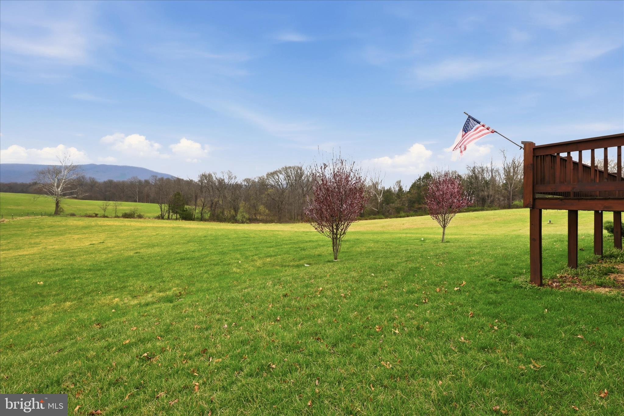 459 Springfield Estates Drive Rileyville, VA 22650 - Photo 8 of 63 Front Yard