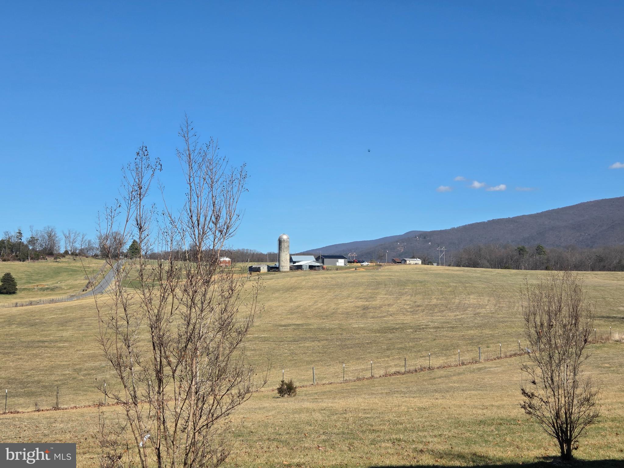 459 Springfield Estates Drive Rileyville, VA 22650 - Photo 8 of 70