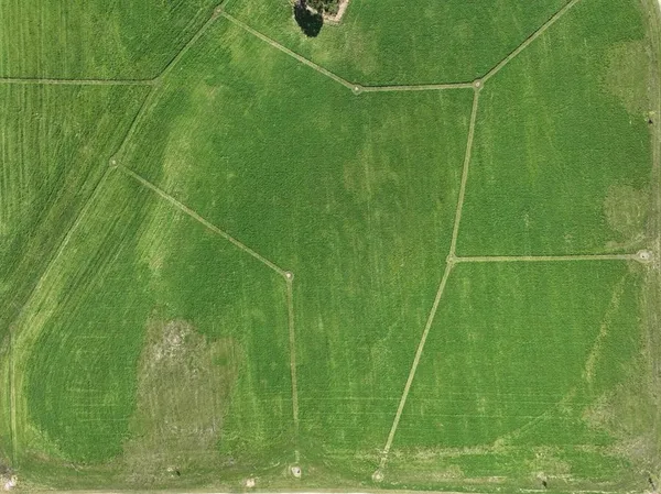 $63,900 | Lot 3 County Road Y, Viroqua, WI 54665