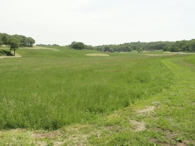 $63,900 | Lot 3 County Road Y, Viroqua, WI 54665