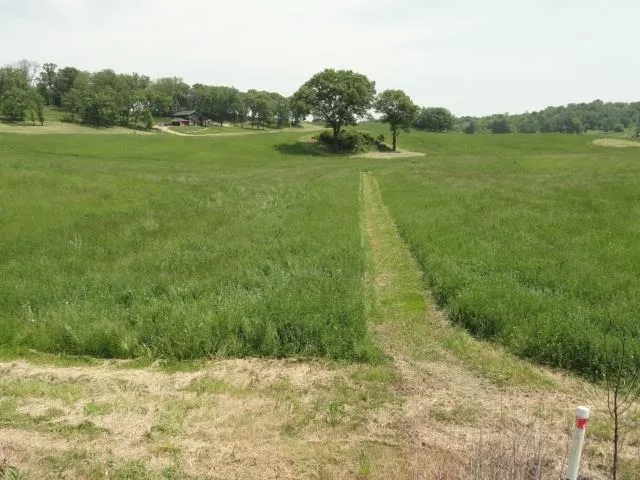 $63,900 | Lot 3 County Road Y, Viroqua, WI 54665