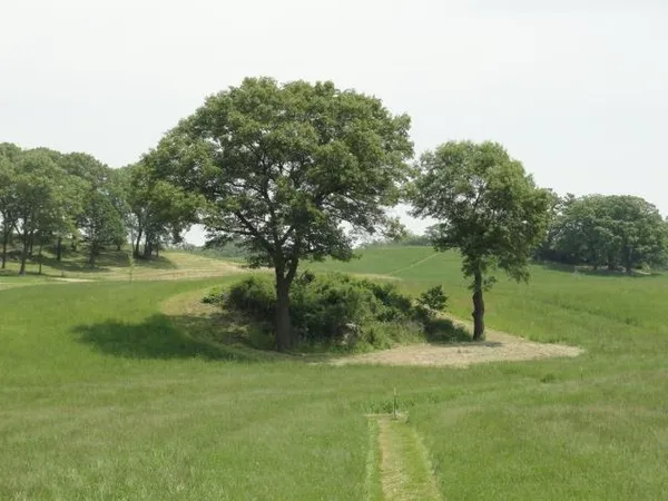 $63,900 | Lot 3 County Road Y, Viroqua, WI 54665
