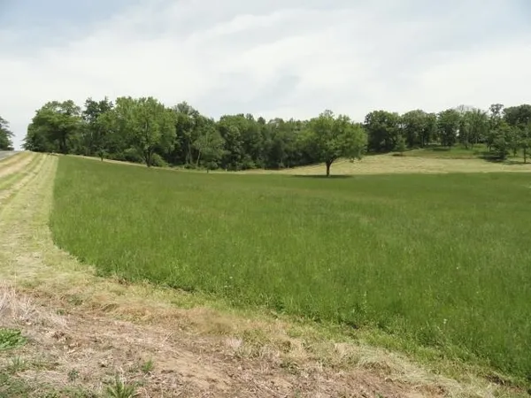 $63,900 | Lot 3 County Road Y, Viroqua, WI 54665