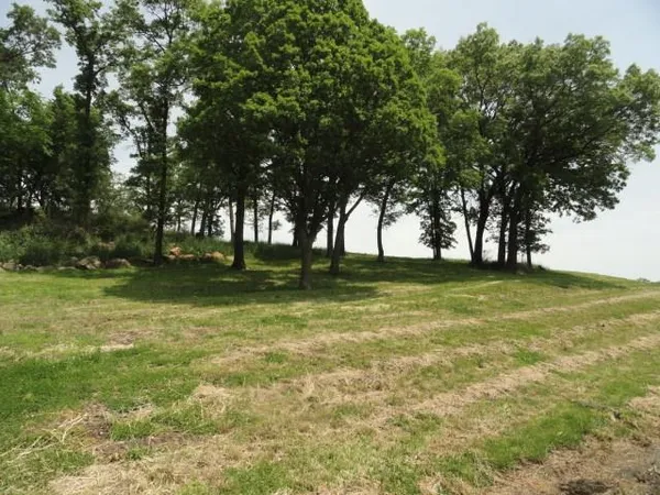 $63,900 | Lot 3 County Road Y, Viroqua, WI 54665