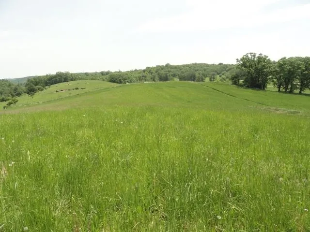 $63,900 | Lot 3 County Road Y, Viroqua, WI 54665