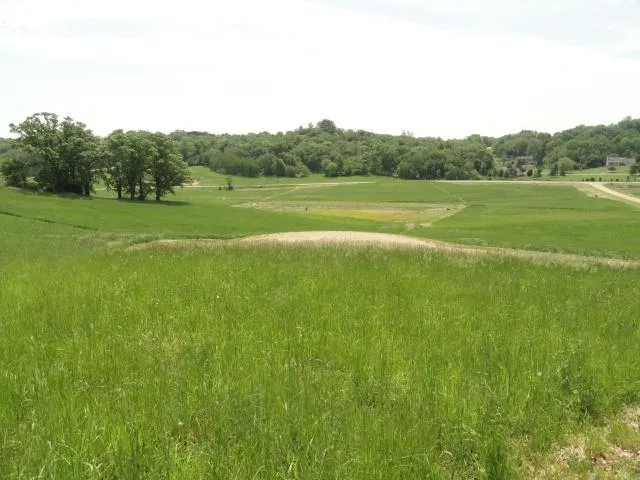 $63,900 | Lot 3 County Road Y, Viroqua, WI 54665