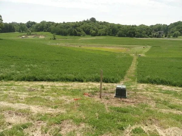 $63,900 | Lot 3 County Road Y, Viroqua, WI 54665