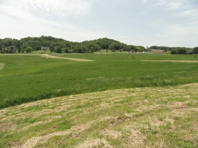 $63,900 | Lot 3 County Road Y, Viroqua, WI 54665