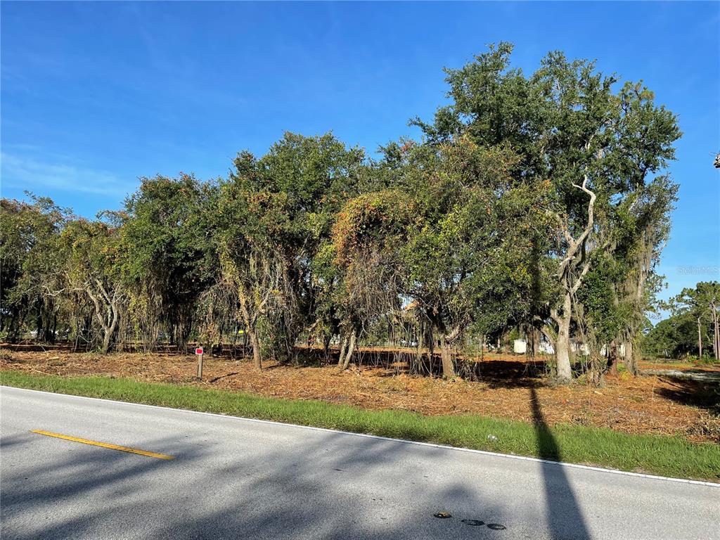 3524 Hickory Tree Road St. Cloud, FL 34772 - Photo 11 of 49