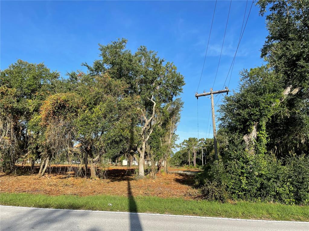 3524 Hickory Tree Road St. Cloud, FL 34772 - Photo 12 of 49