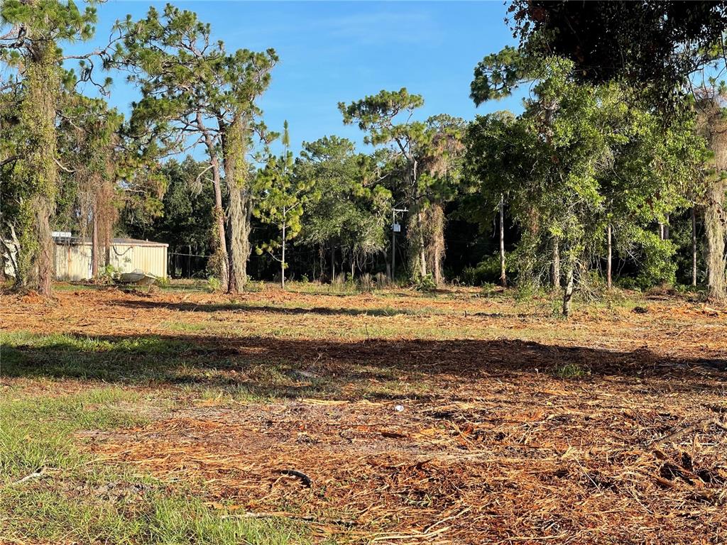 3524 Hickory Tree Road St. Cloud, FL 34772 - Photo 13 of 49