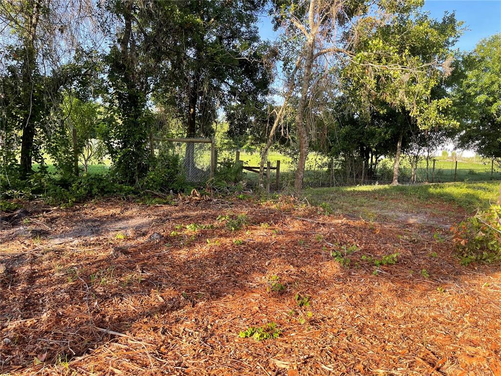 3524 Hickory Tree Road St. Cloud, FL 34772 - Photo 26 of 49