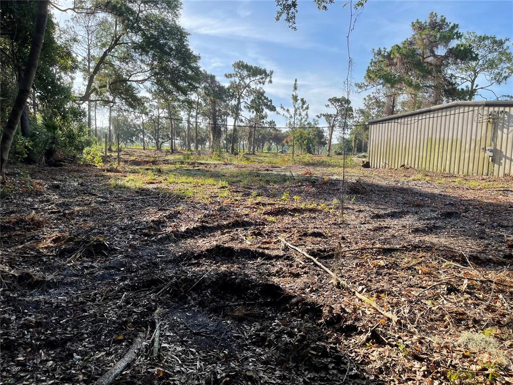 3524 Hickory Tree Road St. Cloud, FL 34772 - Photo 30 of 49