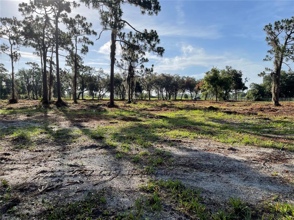 3524 Hickory Tree Road St. Cloud, FL 34772 - Photo 38 of 49