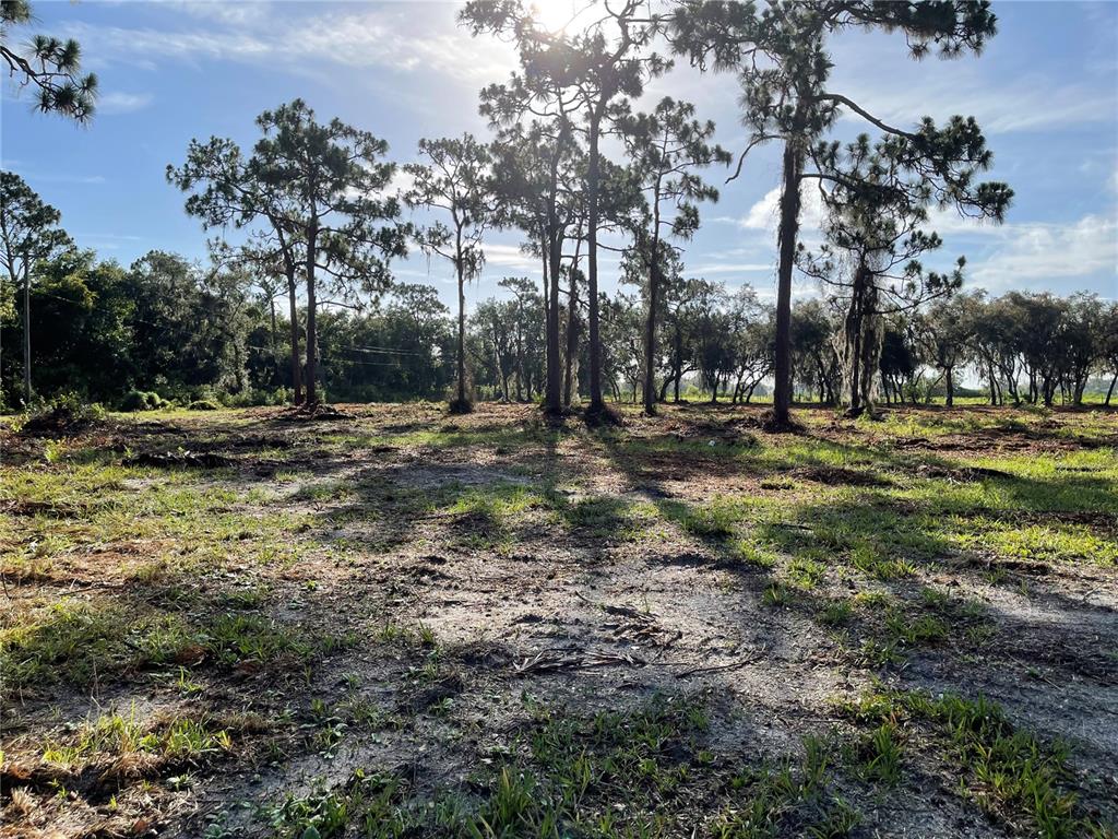 3524 Hickory Tree Road St. Cloud, FL 34772 - Photo 39 of 49