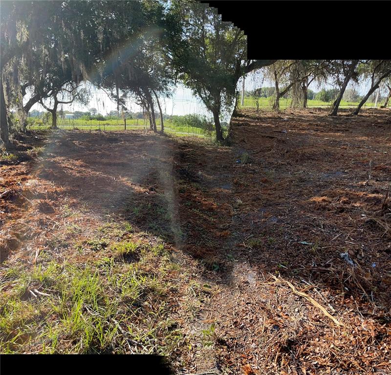 3524 Hickory Tree Road St. Cloud, FL 34772 - Photo 43 of 49