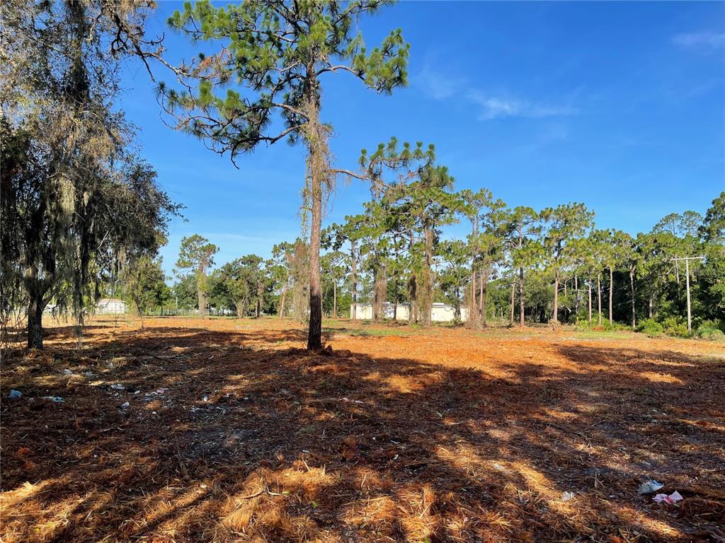 3524 Hickory Tree Road St. Cloud, FL 34772 - Photo 44 of 49