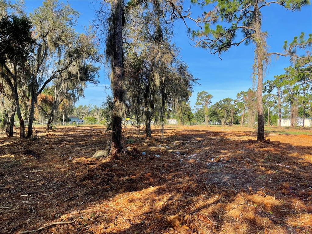 3524 Hickory Tree Road St. Cloud, FL 34772 - Photo 45 of 49