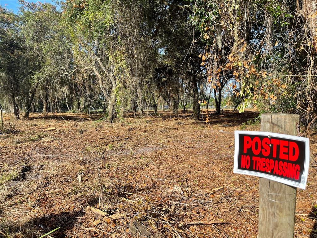 3524 Hickory Tree Road St. Cloud, FL 34772 - Photo 47 of 49