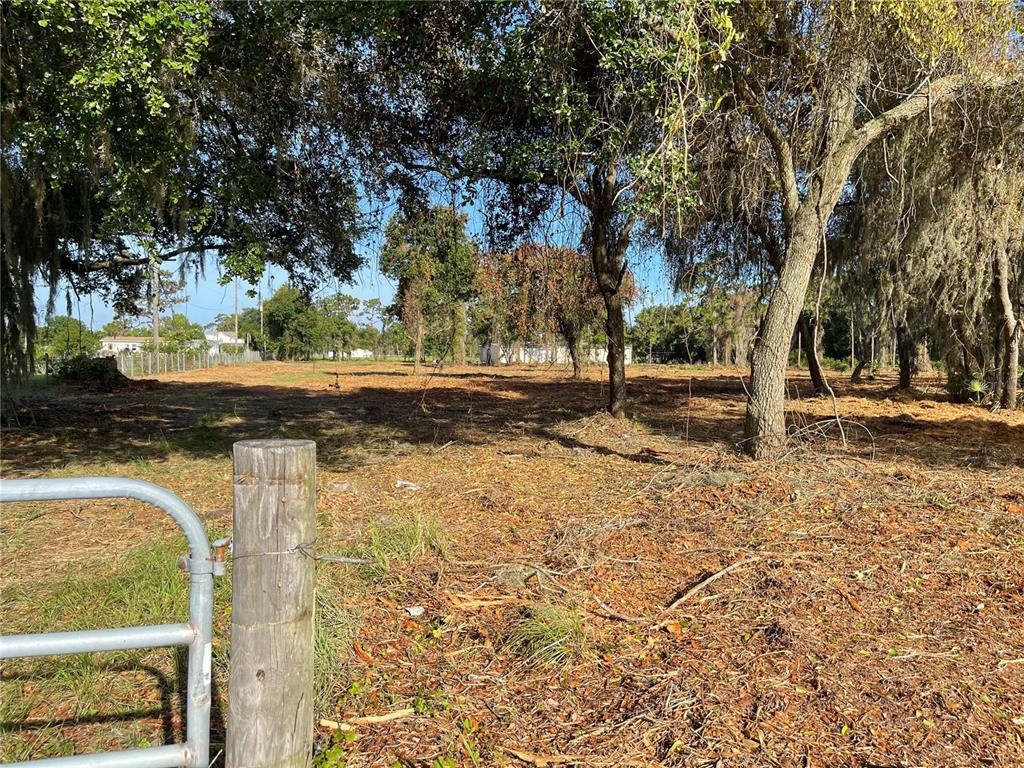 3524 Hickory Tree Road St. Cloud, FL 34772 - Photo 48 of 49