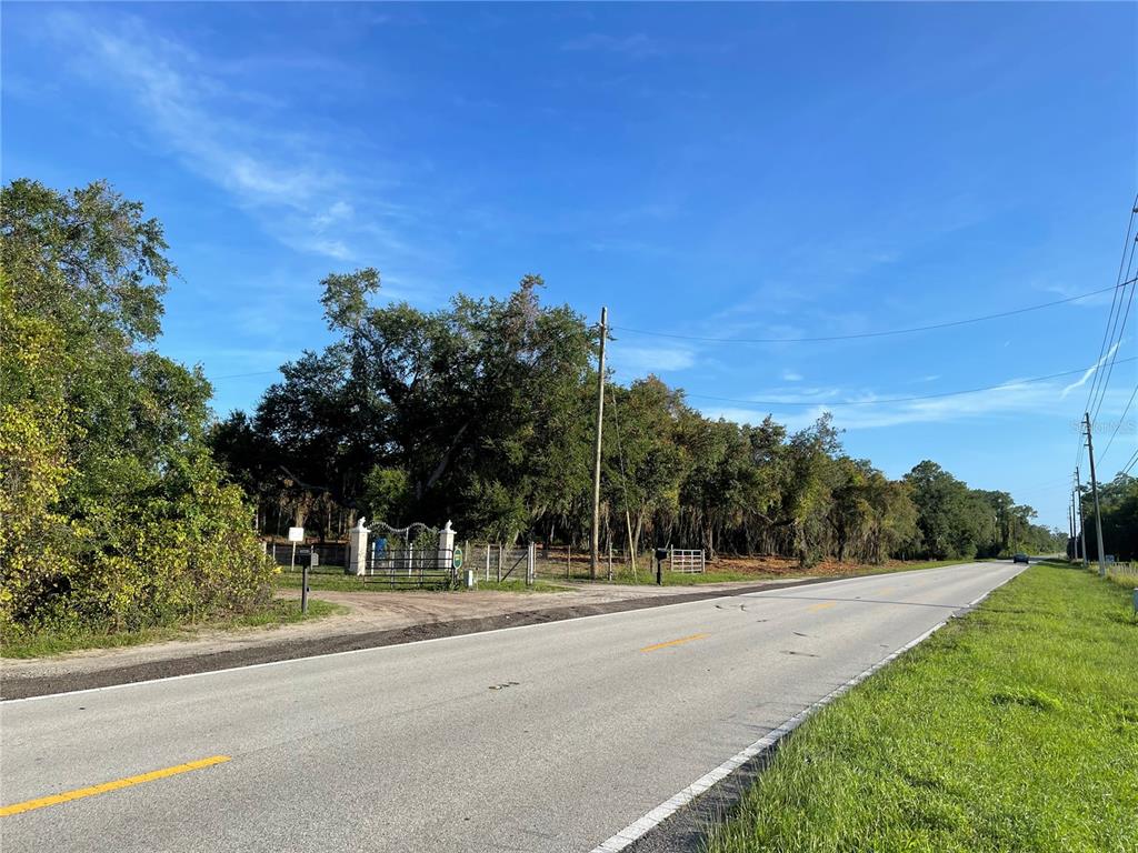 3524 Hickory Tree Road St. Cloud, FL 34772 - Photo 5 of 49