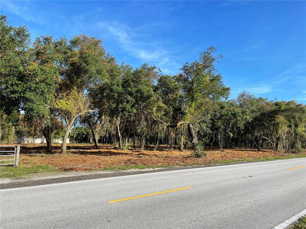 3524 Hickory Tree Road St. Cloud, FL 34772 - Photo 6 of 49