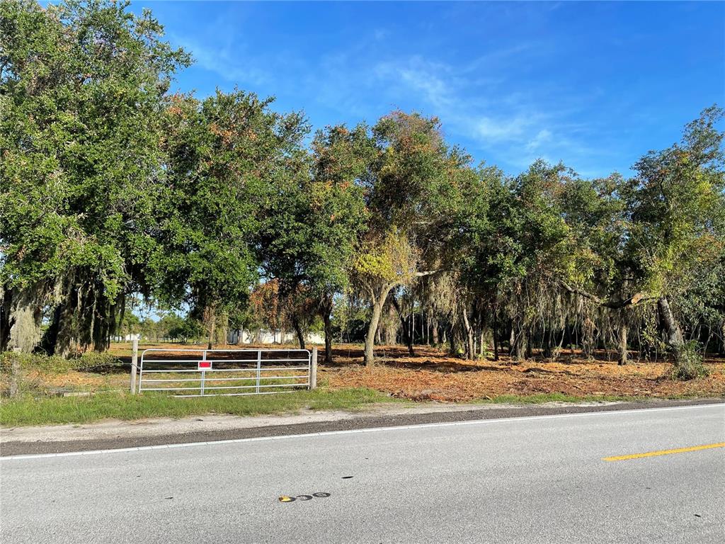 3524 Hickory Tree Road St. Cloud, FL 34772 - Photo 7 of 49