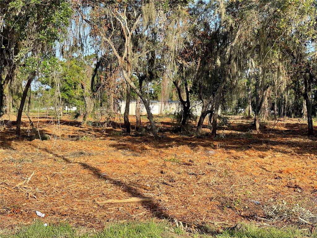 3524 Hickory Tree Road St. Cloud, FL 34772 - Photo 9 of 49