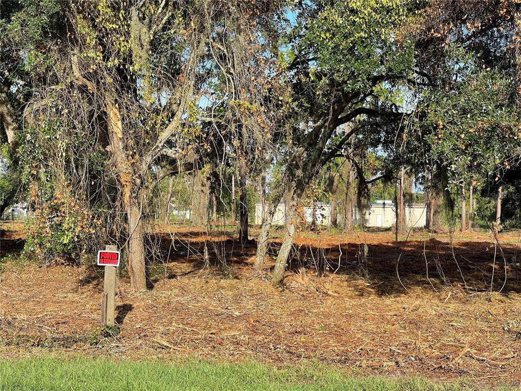 3524 Hickory Tree Road St. Cloud, FL 34772 - Photo 10 of 49