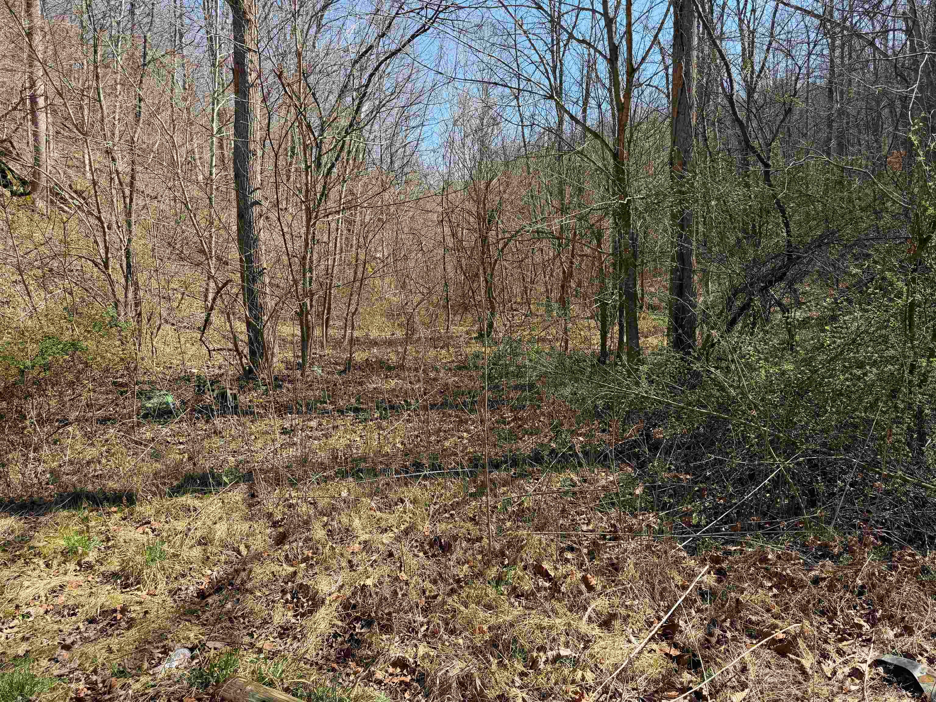 0 Dunfee Road Lesage, WV 25537 - Photo 7 of 24 Gallery Image 7