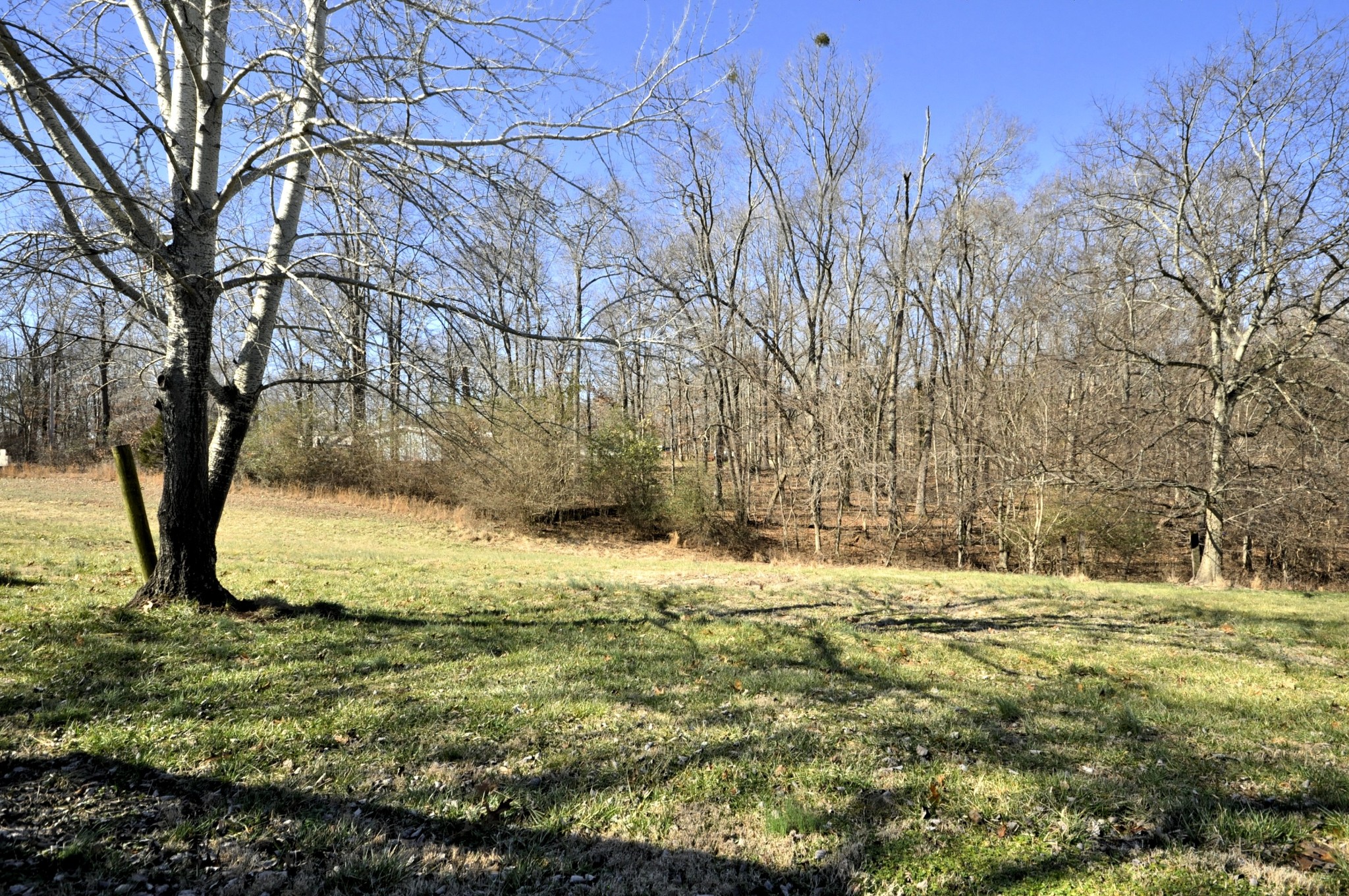 760 Dotsonville Road Clarksville, TN 37042 - Photo 41 of 42