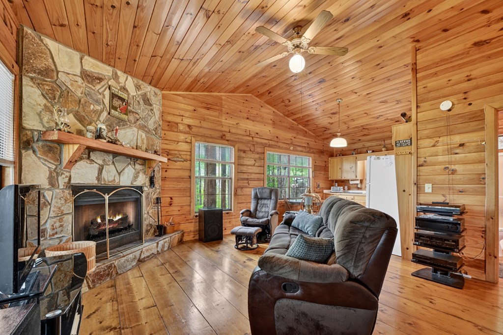 660 Ripshin Mountain Road Blue Ridge, GA 30513 - Photo 6 of 40