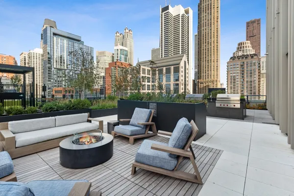 a view of a patio with couches and a potted plant on a table