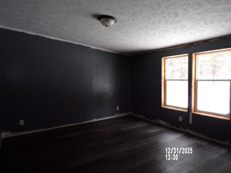 1105 Fisk Avenue Morley, MI 49336 - Photo 7 of 10 100_9519