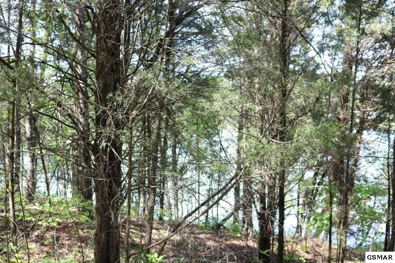 0 Lot 35 Buck Horn Road Sevierville, TN 37876 - Photo 10 of 30