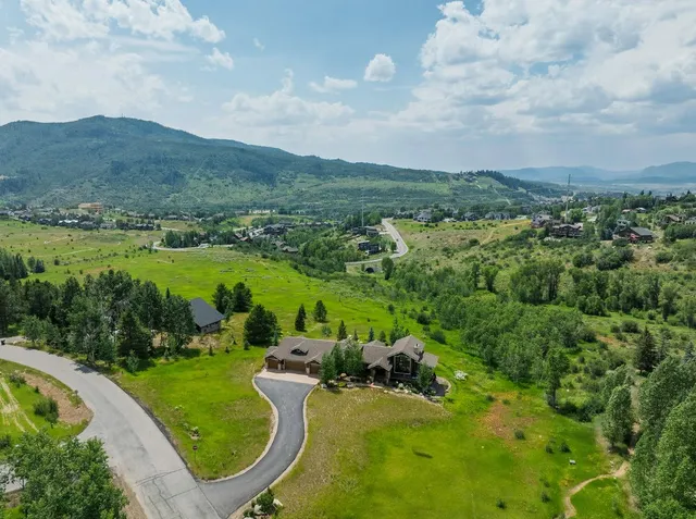 an aerial view of green landscape with trees houses and mountain view