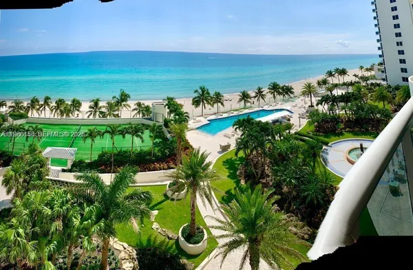 a view of a yard with plants